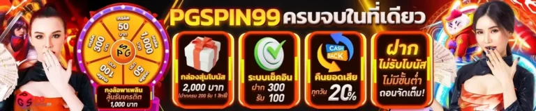 pgspin99